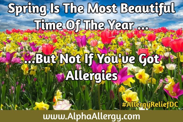 The First Day Of Spring – The Most Beautiful Time Of The Year | Alpha  Allergy